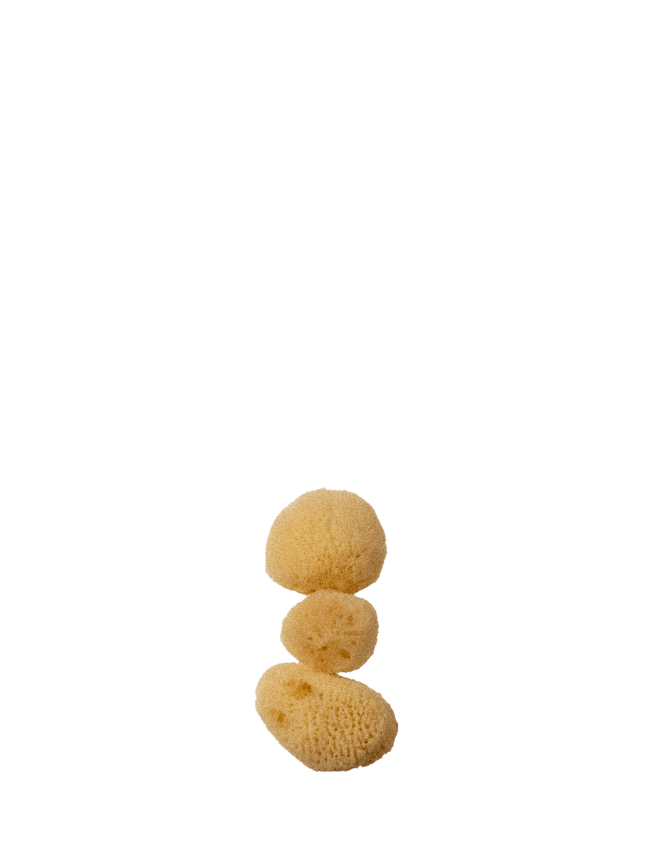 Silk Sea Sponges, Extra Small (Set of 3) - well kept