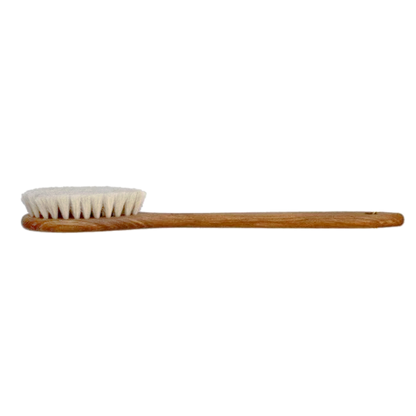 Bath brush with handle