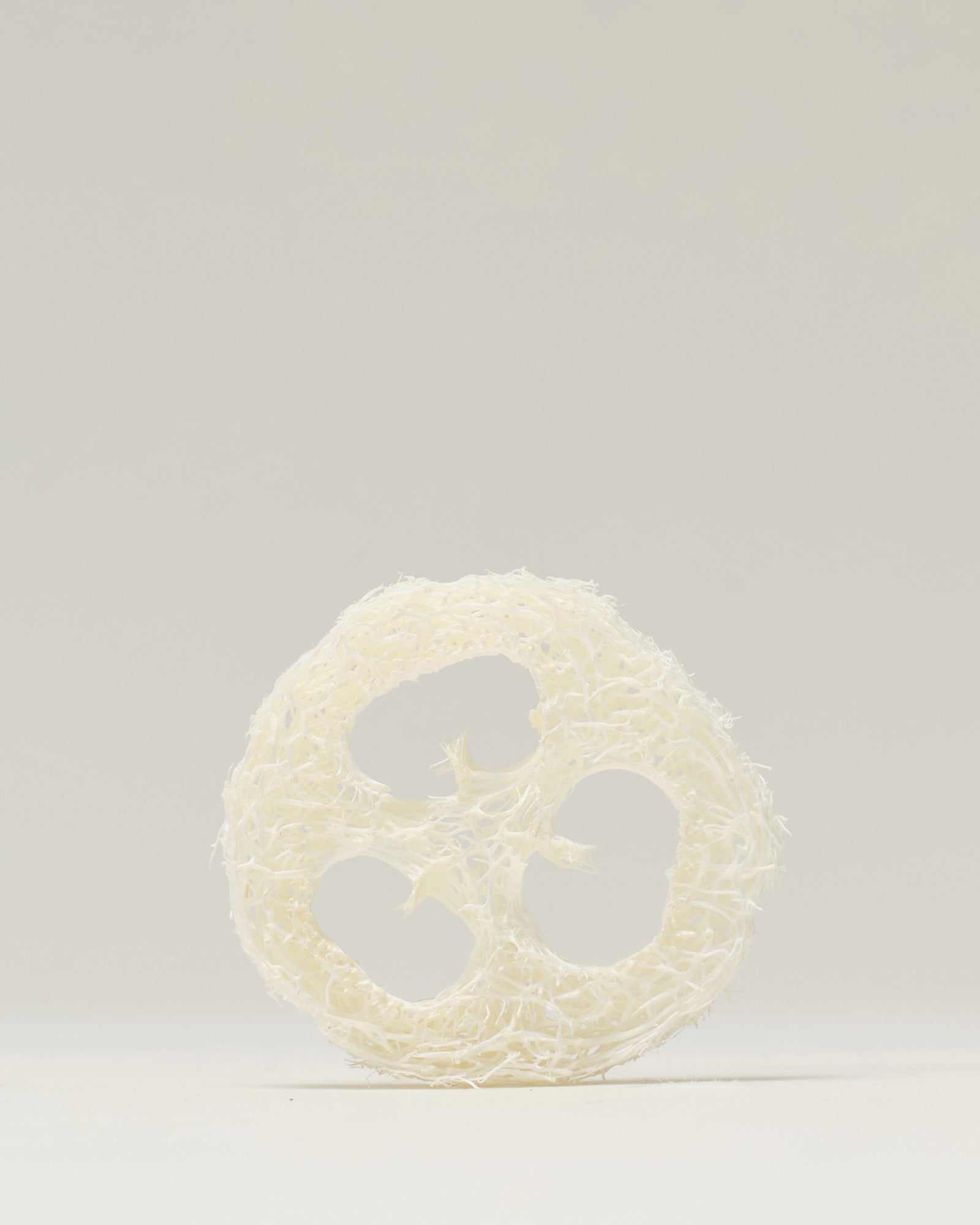 Natural Loofah