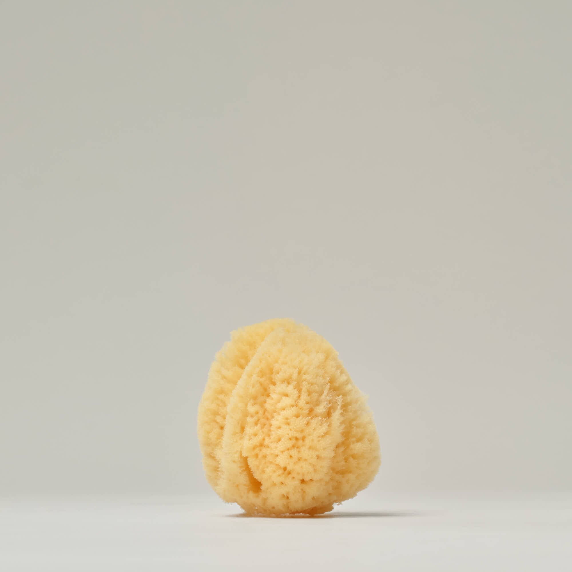 Sea Sponge - Silk