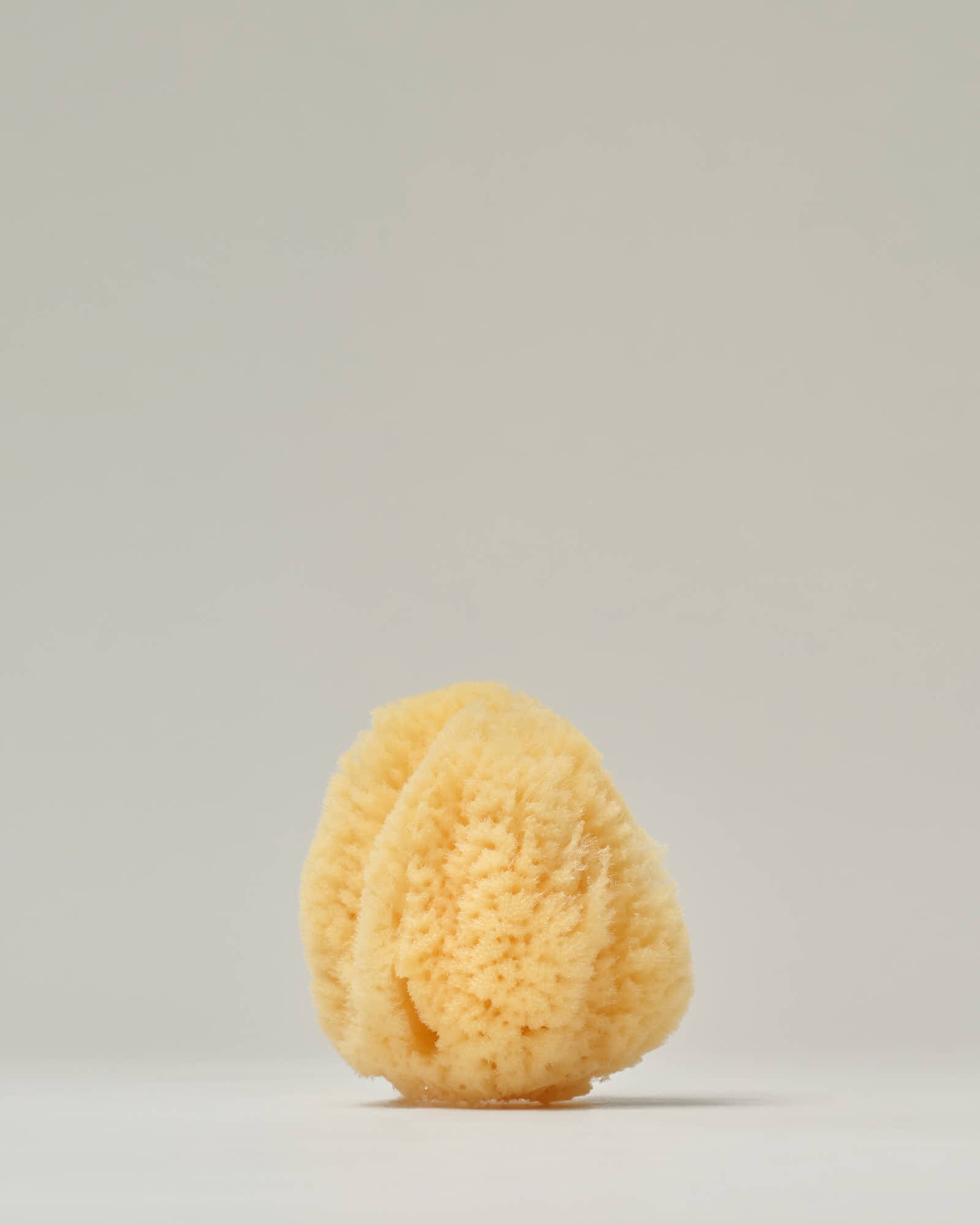 Sea Sponge - Silk (2)