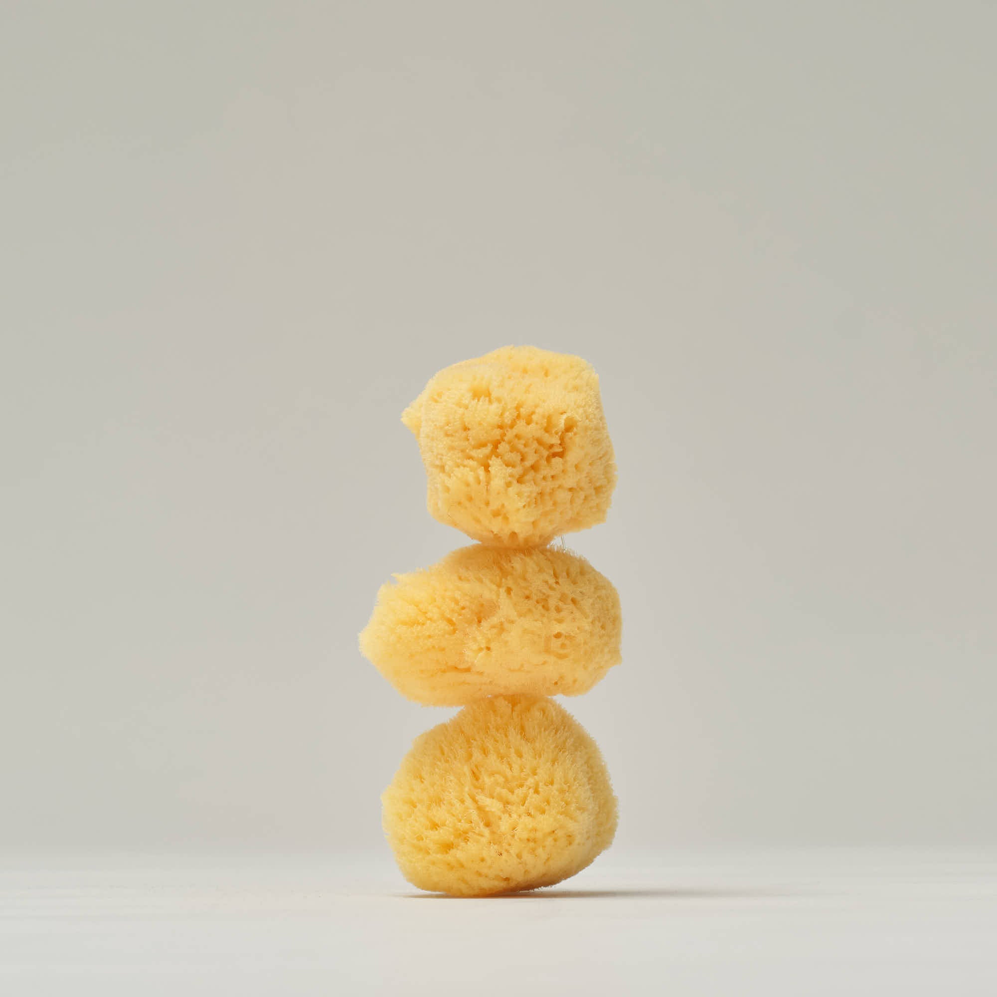 Sea Sponge - Silk