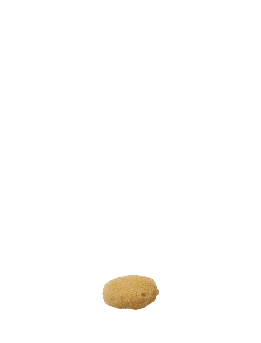 Silk Sea Sponge, Extra Small - well kept